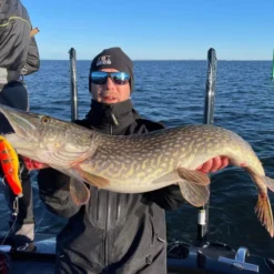 Zalt Zhad 21cm, 77g -Angebote Daiwa Store 221602Zr 4