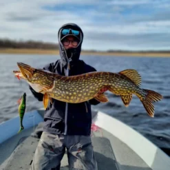 Zalt Zhad 21cm, 77g -Angebote Daiwa Store 221602Zr 5