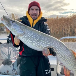 Daiwa PX Lazy Shad -Angebote Daiwa Store 32 217472r 3