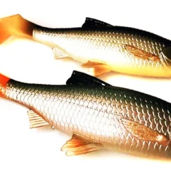 Savage Gear 3D LB River Roach Paddletail (2-Pack) -Angebote Daiwa Store 57456r 2