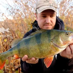 Keitech Crazy Flapper 3,6'', 9cm (7-pack) -Angebote Daiwa Store 58510BOWEr 5