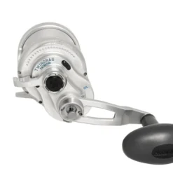 Accurate Boss Extreme 2-Speed R -Angebote Daiwa Store BX2 400 Sr 3