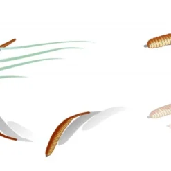 Deps Deathadder 4'' -Angebote Daiwa Store D DA4 03r 3