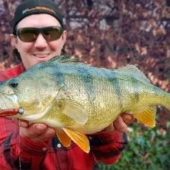 High5Lures Drop9 (6-pack) -Angebote Daiwa Store DRP9101r 4