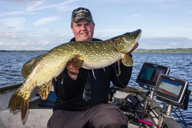 Eastfield Wingman 21cm, 80g 4 Eastfield Wingman 21cm, 80g – Bild 2