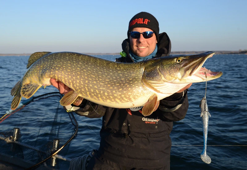 Eastfield Wingman 21cm, 80g 6 Eastfield Wingman 21cm, 80g – Bild 4