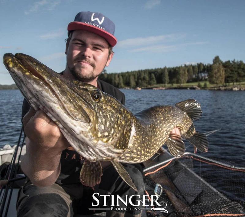 Eastfield Wingman 21cm, 80g 8 Eastfield Wingman 21cm, 80g – Bild 6