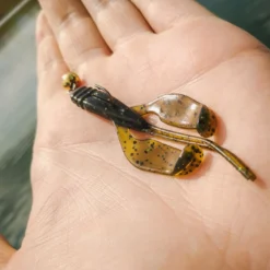 Perch Professor Fapping Craw 5,5cm (6pcs) -Angebote Daiwa Store FC556P Or 2