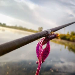 Perch Professor Fapping Craw 5,5cm (6pcs) -Angebote Daiwa Store FC556P Or 3