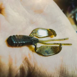 Perch Professor Fapping Craw 5,5cm (6pcs) -Angebote Daiwa Store FC556P Or 4