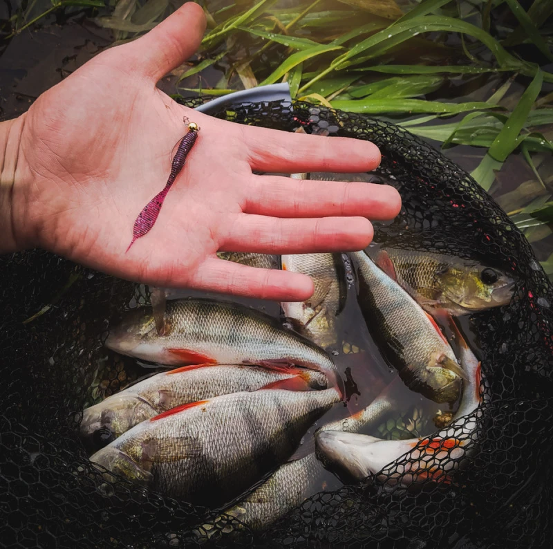 Perch Professor Leech 7cm (8pcs) 4 Perch Professor Leech 7cm (8pcs) – Bild 2