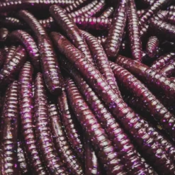 Perch Professor Flying Worm 9cm (6pcs) -Angebote Daiwa Store FW96P Or 3