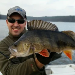 Spinmad Tail Spinner Jigmaster 8g -Angebote Daiwa Store GL 2301r 2