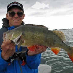 Keitech FAT Swing Impact 9,6cm -Angebote Daiwa Store KEI 6038CT06r 6