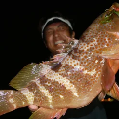 Megabass Rock Hog -Angebote Daiwa Store MB 00000046364r 3