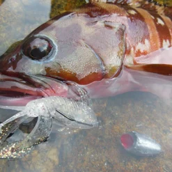 Megabass Rock Hog -Angebote Daiwa Store MB 00000046364r 5