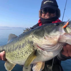 Megabass Dyna Response 14g -Angebote Daiwa Store MB DR 4513473478703r 3