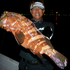 Megabass Honjikomi Bottle Shrimp 3'', 7,6cm (6pcs) -Angebote Daiwa Store MB HBS3 4513473290855r 2