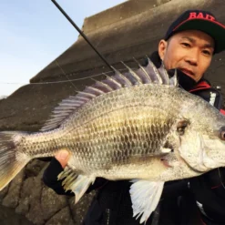 Megabass Honjikomi Bottle Shrimp 3'', 7,6cm (6pcs) -Angebote Daiwa Store MB HBS3 4513473290855r 3