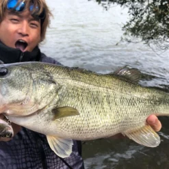 Megabass Vibration-X Dyna (Rattle In) -Angebote Daiwa Store MB VXDR 4513473465505r 2