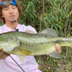 Megabass Vibration-X Dyna (Rattle In) -Angebote Daiwa Store MB VXDR 4513473465505r 3