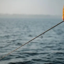 Jaeger Pike One Spinn 8'4'' 30-90g -Angebote Daiwa Store PKE ROD 1 3