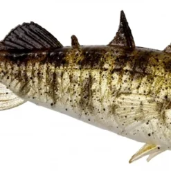 Stanley The Stickleback 7,5cm (6-Pack)