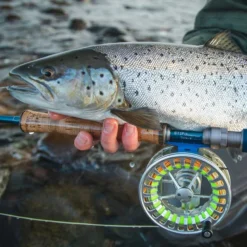 Vision Stifu Flyrod -Angebote Daiwa Store VFU4967r 3