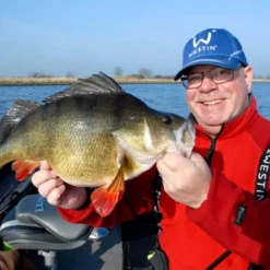 ShadTeez 9 Cm, 7g (bulk) -Angebote Daiwa Store WS01412r 2