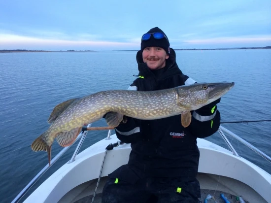 SvartZonker Big McRubber V2 - (2 Pack) 6 SvartZonker Big McRubber V2 - (2 Pack) – Bild 4