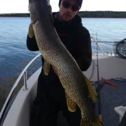 SvartZonker Big McRubber V2 - (2 Pack) 12 SvartZonker Big McRubber V2 - (2 Pack) -Angebote Daiwa Store bigmcrubberv2 2pr 5