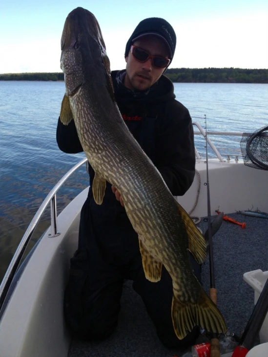 SvartZonker Big McRubber V2 - (2 Pack) 7 SvartZonker Big McRubber V2 - (2 Pack) – Bild 5