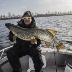 Gator Gum 22 Cm (1-Pack) -Angebote Daiwa Store gatorgumr 6